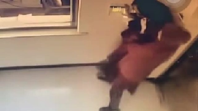 躲都不好躲……