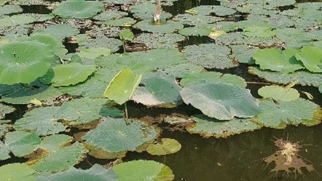 闲的时候散散心