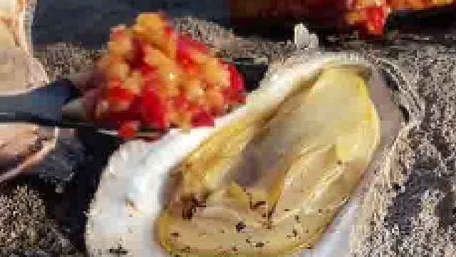 来自大自然的馈赠