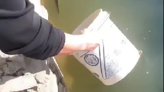 这鱼不能吃，吃了影响智商