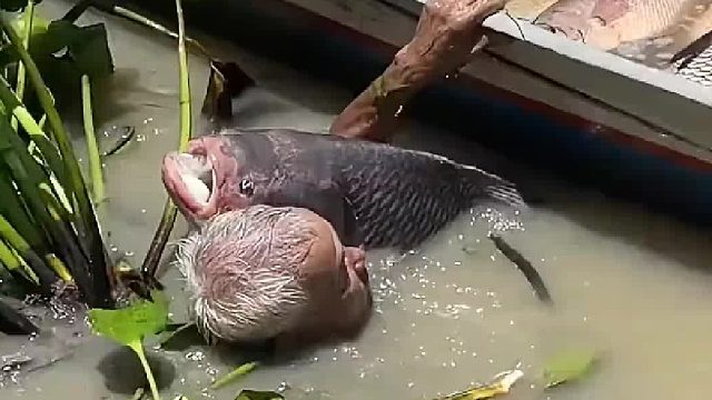 真的太大了，希望善待这条生命，这条鱼要是精神充沛的话，两个人都不一定给弄到船上