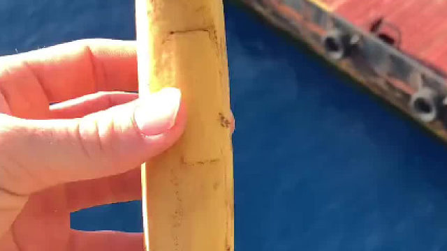 怪不得船上都没有厕所