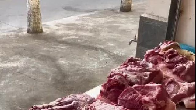 狗：哥，没事我明天来