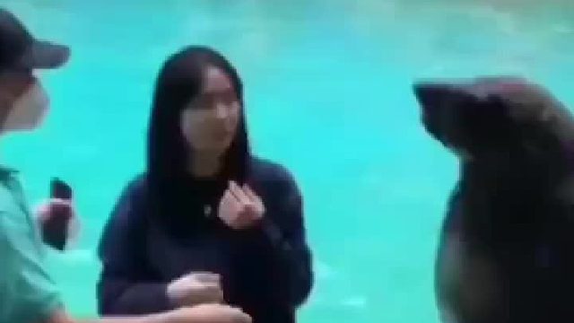 我以为可以讲点感情，没想到还是一场买卖[看]