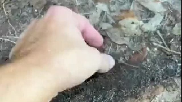 这是黑猫警长第一集里的那个老鼠吗