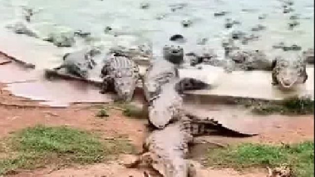 从来没被这么多人追求过