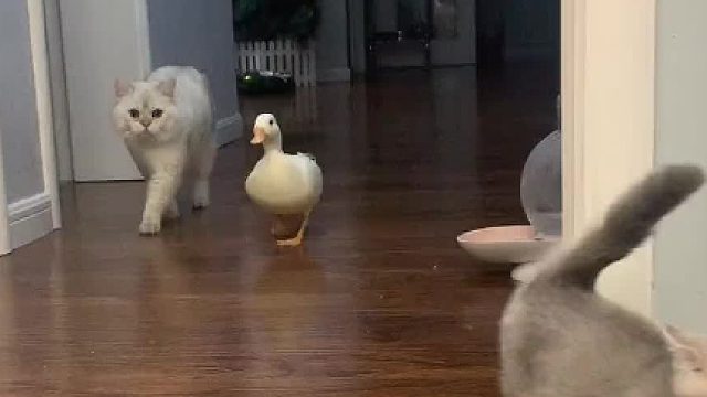 好养活：圈子不同不必强融