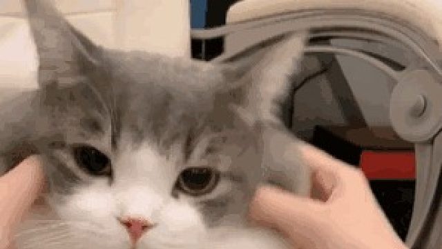 半魔人困难梦幻1-2(外场）日常