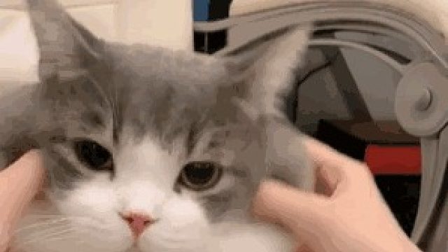 刀锋困难梦幻1-2（外场）日常