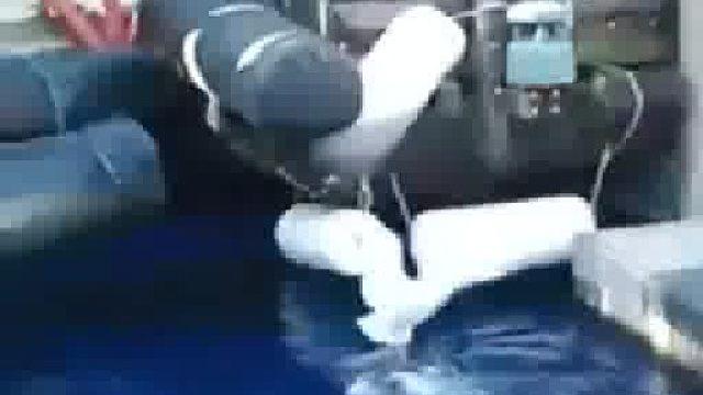 鸟：让了你这么多次，心里没点数吗？