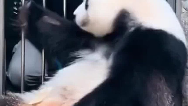 小脚翘起快给我按按