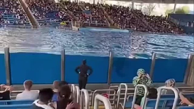 即使躲到最后一排也逃脱不了被拍的命运