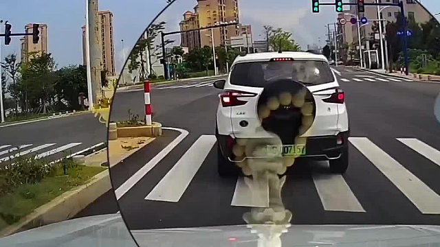 你是怎么考到的驾照