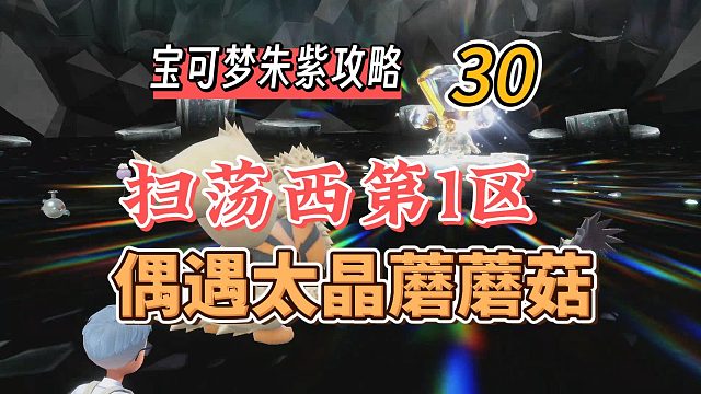 宝可梦朱紫攻略30