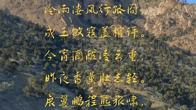 大鹏一日乘风起