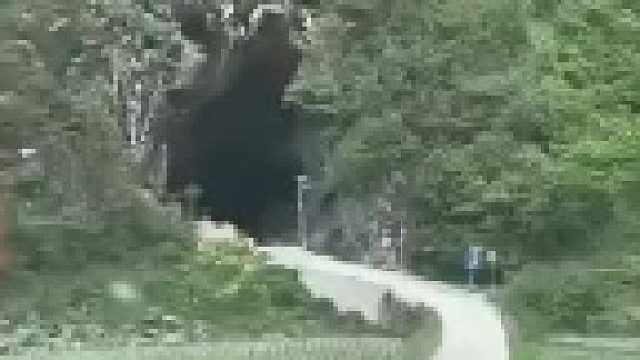 这路是不是太凑合了，简陋得有点吓人……