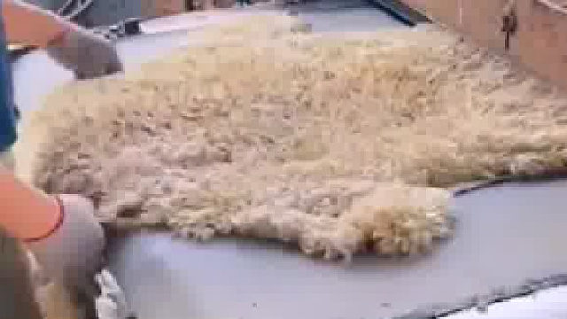 好像是加工羊毛吧