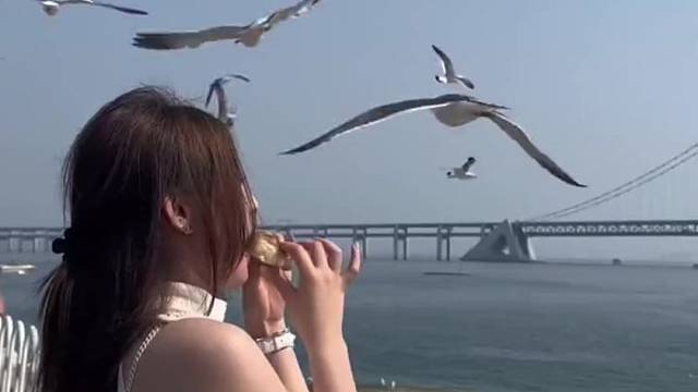 海鸥：这么糕兴，给你来个吻别