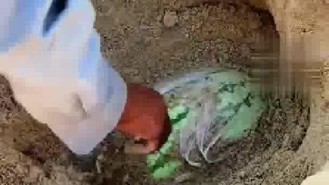 用海水冰镇会是什么味道？