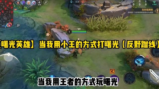 【曙光英雄】当我用小王的方式打曙光（反野蹭线）
