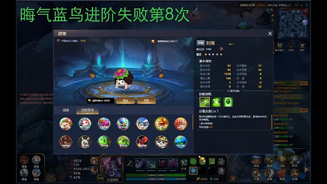 仙人掌4进5加宠物经验