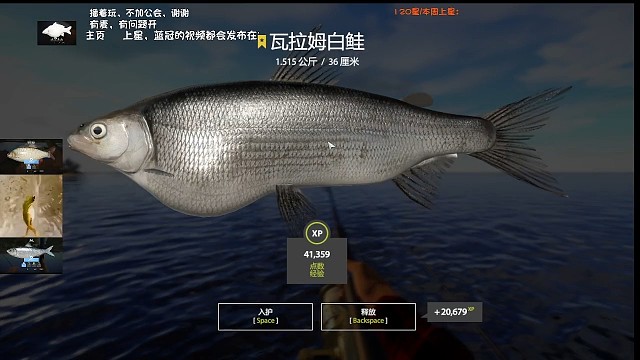 27图–星瓦拉姆(121星)拟鲤窝里找稀有，第一小时50口，30口拟里，心疼金币饵，溜了，实在钓不起