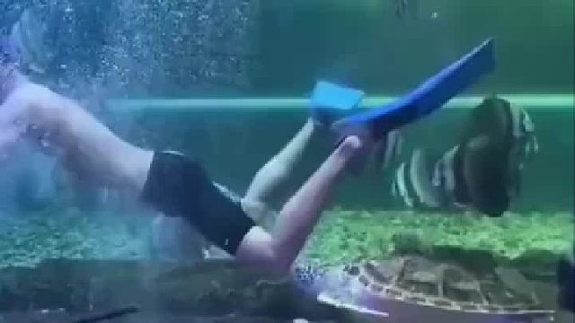 海龟：这孩子跟你爷爷一样，不识逗.