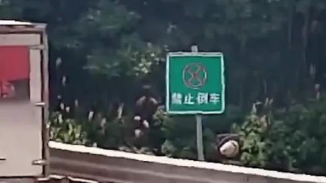 货车高速路口倒车，无视旁边“禁止倒车”警示牌！