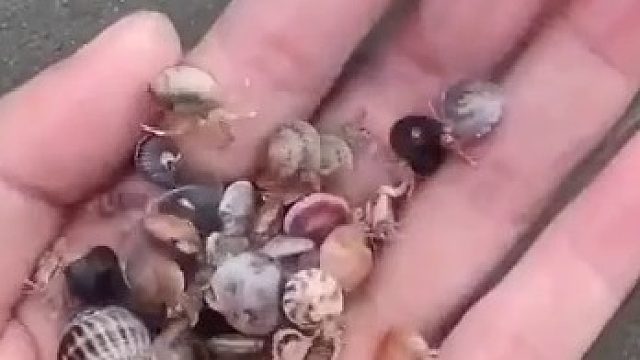 就此告别吧，水上的列车就要开了