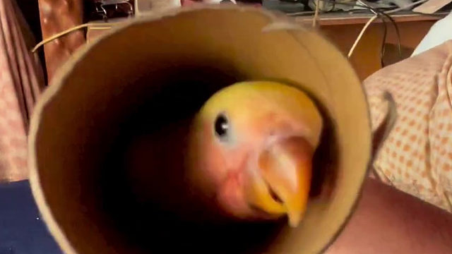 一条会加剧刻板印象的视频