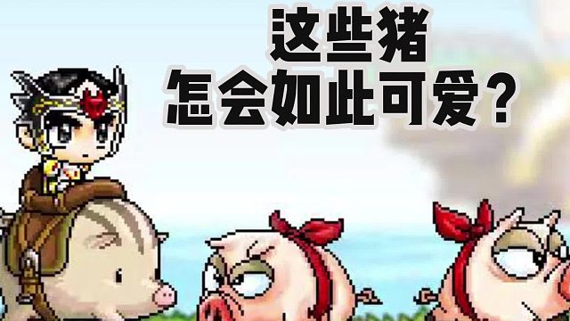 冒险岛手游：这些猪，怎么如此可爱？