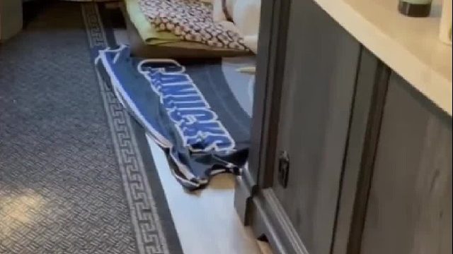 当失明又失聪的老年狗，和主人久别重逢