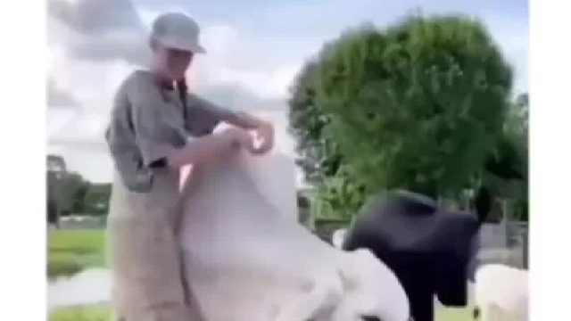 很有镜头感啊你小子？！！