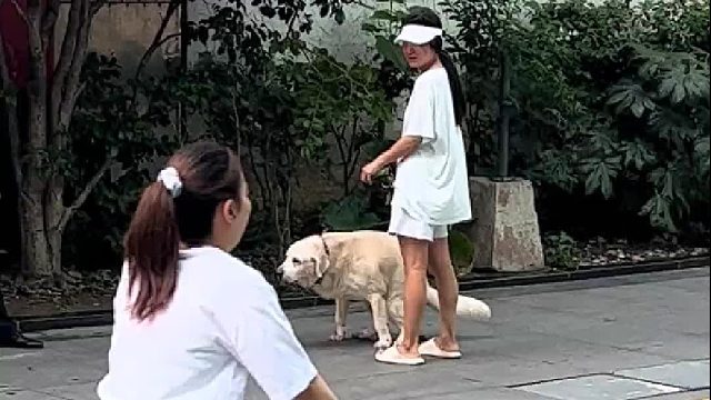 我发布了一个新视频，快来围观吧！