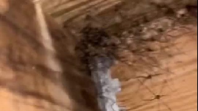 卧槽？？？他怎么敢啊？？？（慎入）