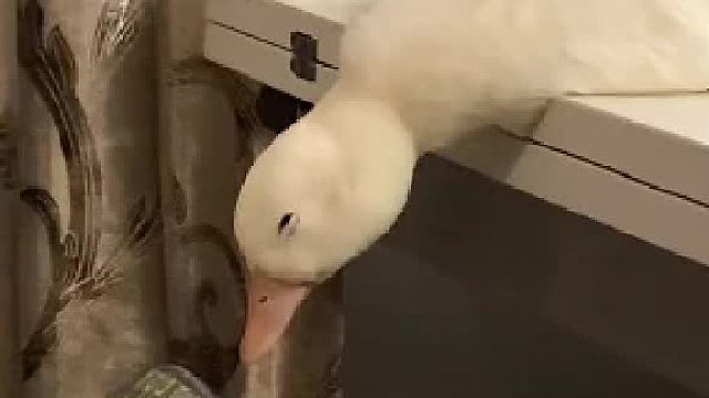 我每天的精神状态