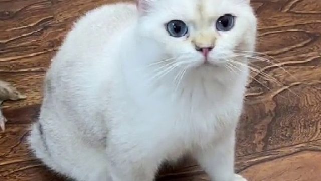 胜男：烦恼进入我的耳朵里