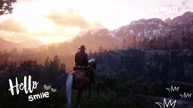 【荒野大镖客2】