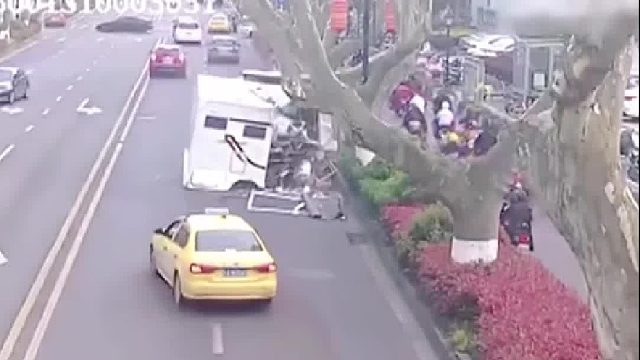 老树伸出“手”货车撞上了树！