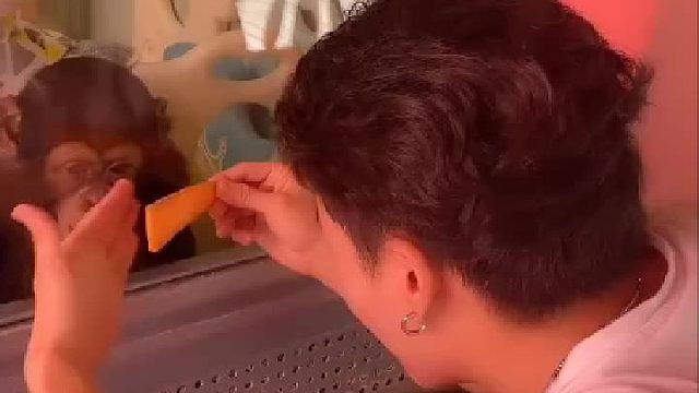 大型亲子活动现场