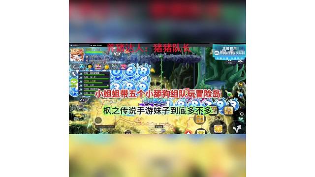 小姐姐带五个小舔狗，玩冒险岛枫之传说妹子多不多