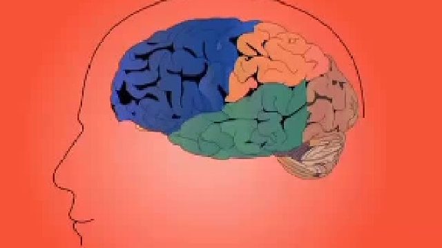 脑鸣所导致症状