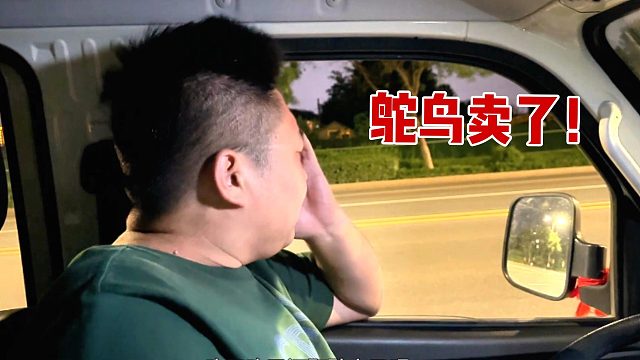 鸵鸟撞坏门板逃脱出笼，无奈转手他人，一个大男人却心疼哭了！