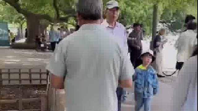 景区内大爷一边走路一边故意占女性“便宜”，网友：这种情况怎么处理