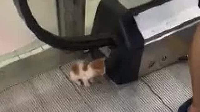 为了奖励你，那我这个吴彦祖就让你当一天吧