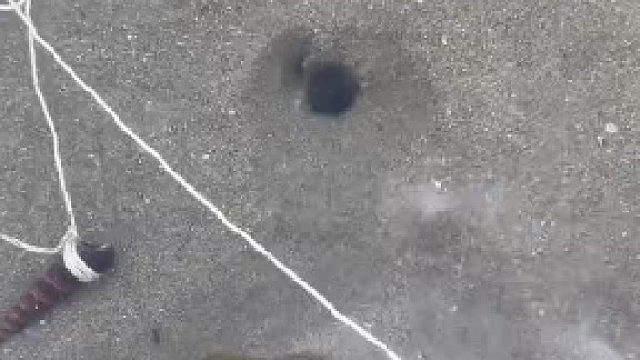 这个皮皮虾没有我皮