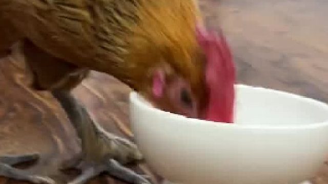 熟练的让人心疼