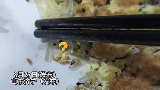 食客点菜蚂蚁炒鸡蛋，上菜后发现蚂蚁是真蚂蚁呀！网友：这老板主打一个实诚。