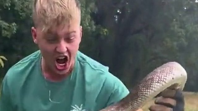 把蛇吓得，叫的好大声啊