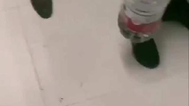 会审时度势，这狗子聪明